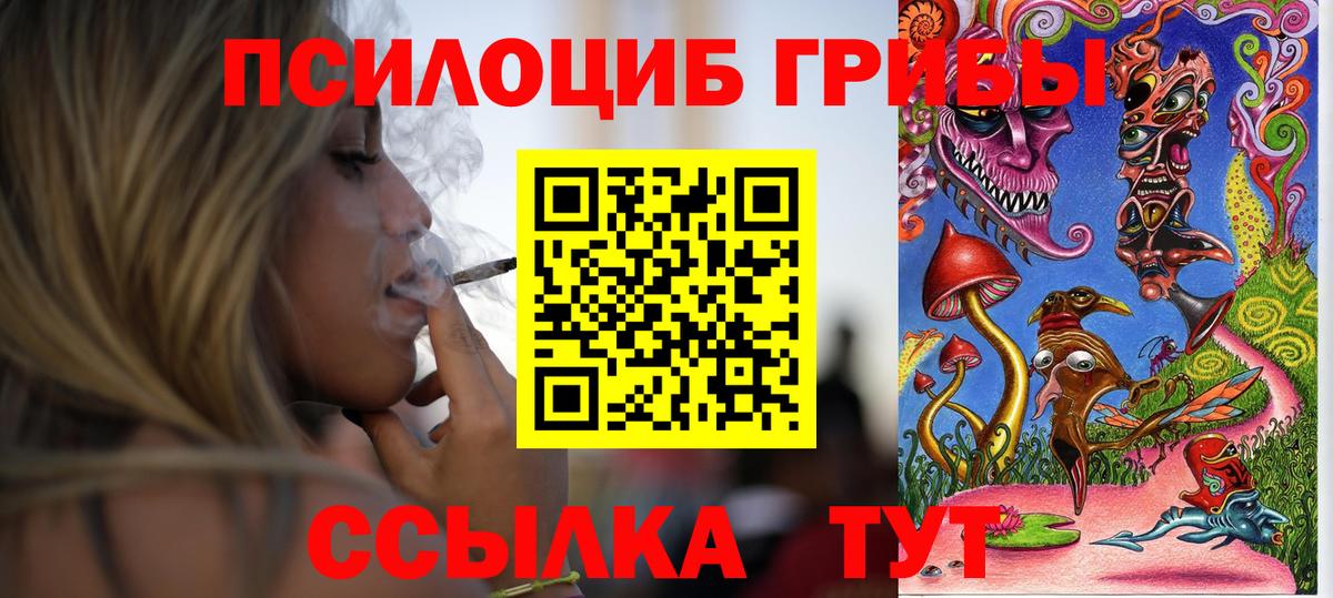 даркнет сайт  Вход с VPN  Электросталь  Галлюциногенные грибы мухоморы  Псилоцибиновые грибы прущие грибы 