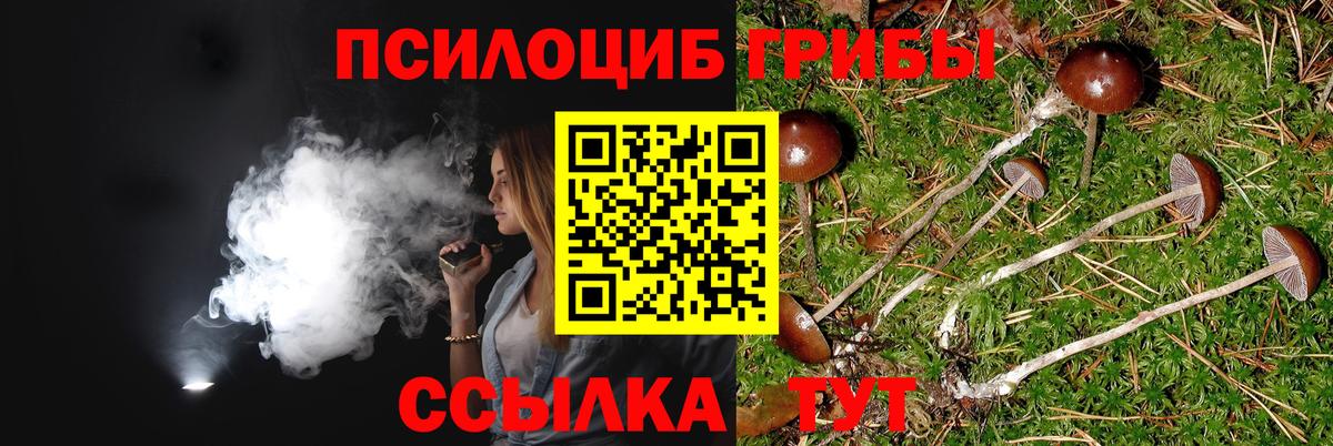 Псилоцибиновые грибы ЛСД Электросталь